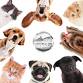 Pet of the Month & LIVE Music!! event image