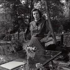 'do you like her' ''of course!' what a question! Sunset Gun Milk Blood Bone Patricia Highsmith
