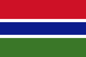 Learn More About Teaching English Abroad In Gambia Http Www Americantesol Com Teach In Gambia Htm The Gambia Gambia Flag Gambia
