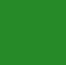 What Do Color Blind People See Green Paint Colors Colorful Comforter Colorful Wallpaper