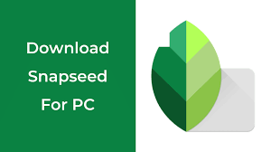 Download Snapseed For Pc Mac And Windows 7 8 10 Snapseed Told You So Download