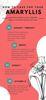 Linda Hammonds (lohammonds)