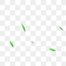Wind Blowing Leaves Green Leaf Floating Green Leaves Cartoon Hand Drawn Green Leaves Leaf Flying Wind Blowing Leaves Png And Vector With Transparent Backgrou How To Draw Hands Leaf Clipart Clip