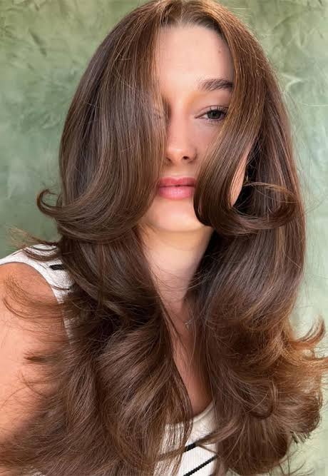 15 Glamour Dark Hair Blowout Hairstyles 1 - Fab Mood | Colour + Mood + Style Inspiration