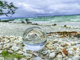 Spektakulär günstige ermäßigte hotels in sanibel island. What To Do On Sanibel Island Beyond Shelling Seconds To Go