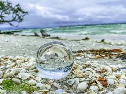 At the top right hand side of this page there are a list of top questions about sanibel island. What To Do On Sanibel Island Beyond Shelling Seconds To Go