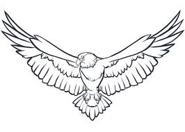 Garuda pancasila adalah burung garuda yang dikenal melalui mitologi kuno dalam sejarah bangsa indonesia. Gambar Sketsa Burung Keren Yang Mudah Dibuat Dan Diwarnai