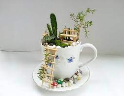 Summer is a season of growth for our plant pals, and there's nothing more satisfying than nurturing your own little garden and watching it flourish. 19 Cute Diy Teacup Garden Ideas Creative Teacup Planters Balcony Garden Web