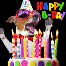 Cute dog in party hats. Happy Birthday Dog Gifs Download On Funimada Com