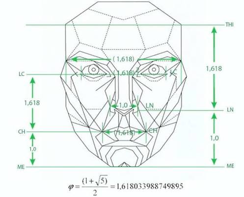 Marquardt mask (Phi), with data of the ideally vertical and transverse... |  Download Scientific Diagram