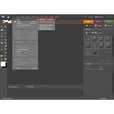 Creating A Watermark In Adobe Photoshop Elements 6 0 Photoshop Tutorial Photoshop Tutorial Adobe Photoshop Elements Photoshop Elements