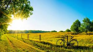 Sommersonnenwende ist am dienstag, den 21. Sommersonnenwende 2021 Temperatursturz Nach Dem Sommeranfang So Kalt Wird Es Aktuell News De
