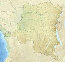 Image result for Oubanguia africana