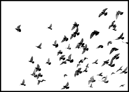 Could you fly little bird and try higher score and try to beat your friends on google leaderboard? Flying Birds Poster Kauf Natur Vogel Poster Online Posterstore De