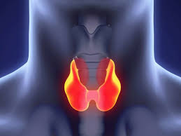 Other terms used are malignant tumours and neoplasms. Early Signs Of Medullary Thyroid Cancer And Common Symptoms