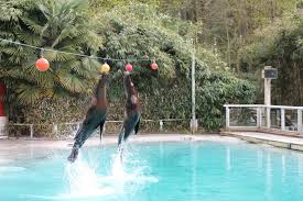 De ce soir mais également de la semaine et même sur les 14 jours à venir. Une Saison Au Zoo La 400e Emission Le 28 Aout Sur France 4 Cote La Fleche