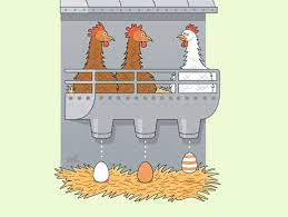 Um es ihnen einfacher zu machen, haben wir die erstaunlichesten artikel aufgelistet. Ostern Und Eier Warum Legen Huhner Weisse Und Braune Der Spiegel