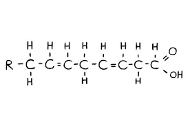 Image result for Fatty Acid