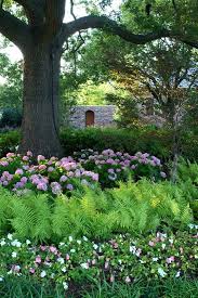 Home Plum Furniture Shade Garden Garden Ideas Under Trees Shade Garden Design