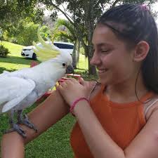 Fundraiser for Yaron Katzil by Allison Beale : In Memory of Roni Katzil Who  Left Us Too Early!