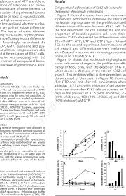 Such issues cannot be memorized. Effects Of Atp Gtp Ctp And Utp On Cell Proliferation A B And Download Scientific Diagram