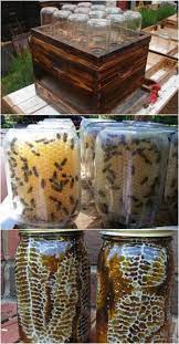 10 Diy Beehives You Can Add To Your Backyard Today Orto In Giardino Apicoltura Coltivare Verdure