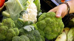 Check spelling or type a new query. Coliflor Versus Brocoli De La Col Aristocratica A Su Primo Silvestre