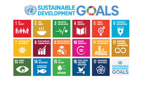 The sdgs represent an ambitious plan to enhance peace and prosperity, eradicate poverty and protect the planet. Un Guidelines For The Use Of The Sdg Logo Permanent Missions