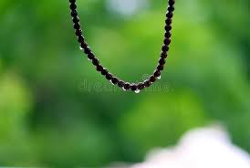 919 rudraksha photos free royalty free stock photos from dreamstime 919 rudraksha photos free royalty