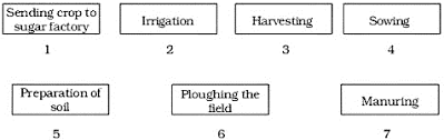 arrange the following boxes in proper order to make a flow