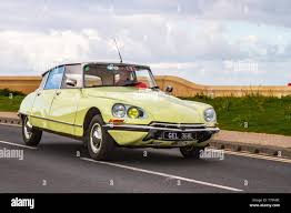Image result for Jaune Soleil 2011 Citroen