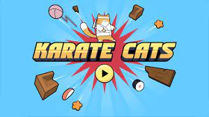 Improve your grammar, punctuation and spelling with the karate cats! Karate Cats English Complete Control