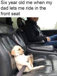It Really Do Be Like That Funny Animal Photos Funny Animal Pictures Funny Animals