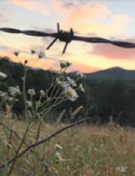 Check spelling or type a new query. Mildred Frances Marie Steininger Obituary Franklin North Carolina Bryant Grant Funeral Home And Crematory Tribute Archive