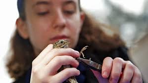 Casting a wide net: bird banding at the Hummer House in Christoval