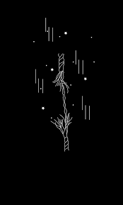 We did not find results for: Wallpaper Black Free Image On Pixabay