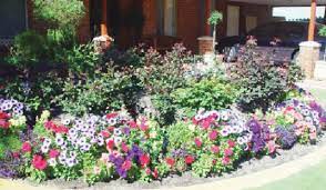 Content updated daily for garden care How To Take Care Of Flowers In Your Garden Or Vases Punch Newspapers