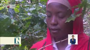 Comenzó Comprobación Nacional al Control Interno en más de 150 entidades  del sector agropecuario