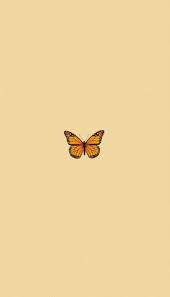 Aesthetic Wallpaper Iphone Pastel Yellow Wallpaper In 2020 Butterfly Wallpaper Iphone Iphone Wallpaper Yellow Butterfly Wallpaper