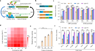 A Synthetic Bret Based Optogenetic Device For Pulsatile Transgene Expression Enabling Glucose Homeostasis In Mice Nature Communications