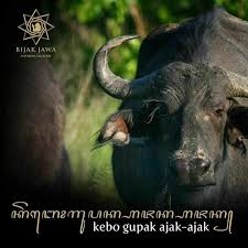 Pin Oleh Agus Hac Di Eling Asale Eling Baline Tahu Manusia