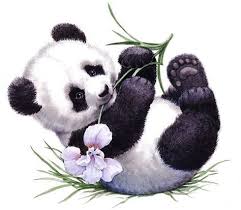 Cute Funny And Cuddly Panda Pics And Drawings Panda Painting Panda Drawing Baby Panda Bears