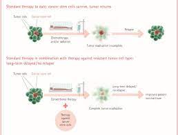 Cancer Stem Cells