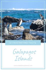 12 Fascinating Facts About The Galapagos Islands Simply Enjoy Travel Galapagos Islands Galapagos Fun Facts