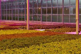 Check spelling or type a new query. A Grower S Guide To Greater Yields More Harvests And Higher Profits Current