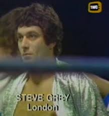 The 100 Greatest Pro Wrestling Matches Ever