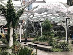 A Connected Future Between Nature And Technology The Beam