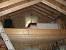 Open Concept Cabin With Loft