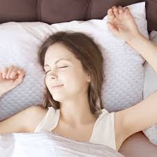 仙朵拉Sandra】銀離子獨立筒枕