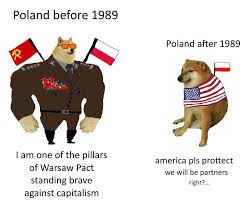 Save and share your meme collection! Poland Before 1989 Swole Doge Vs Cheems Know Your Meme